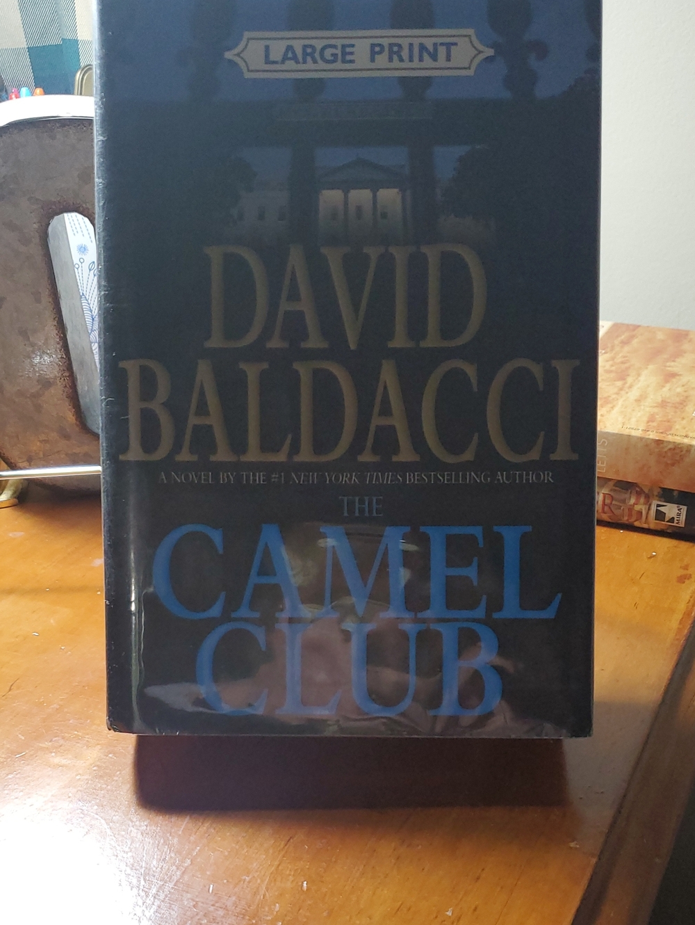 LARGE PRINT David Baldacci's The Camel Club